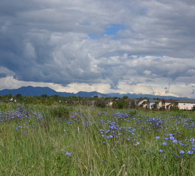 broomfield-commons-open-space-photo